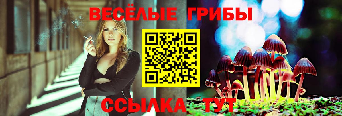 Псилоцибиновые грибы прущие грибы Изобильный