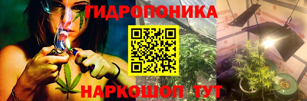Шишки марихуана Bruce Banner  Вход с VPN  Изобильный  Конопля THC 21%  Каннабис White Widow 
